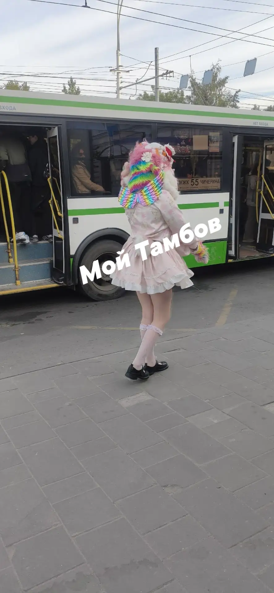 Сегодня по Тамбову ходило вот такое чудо.
