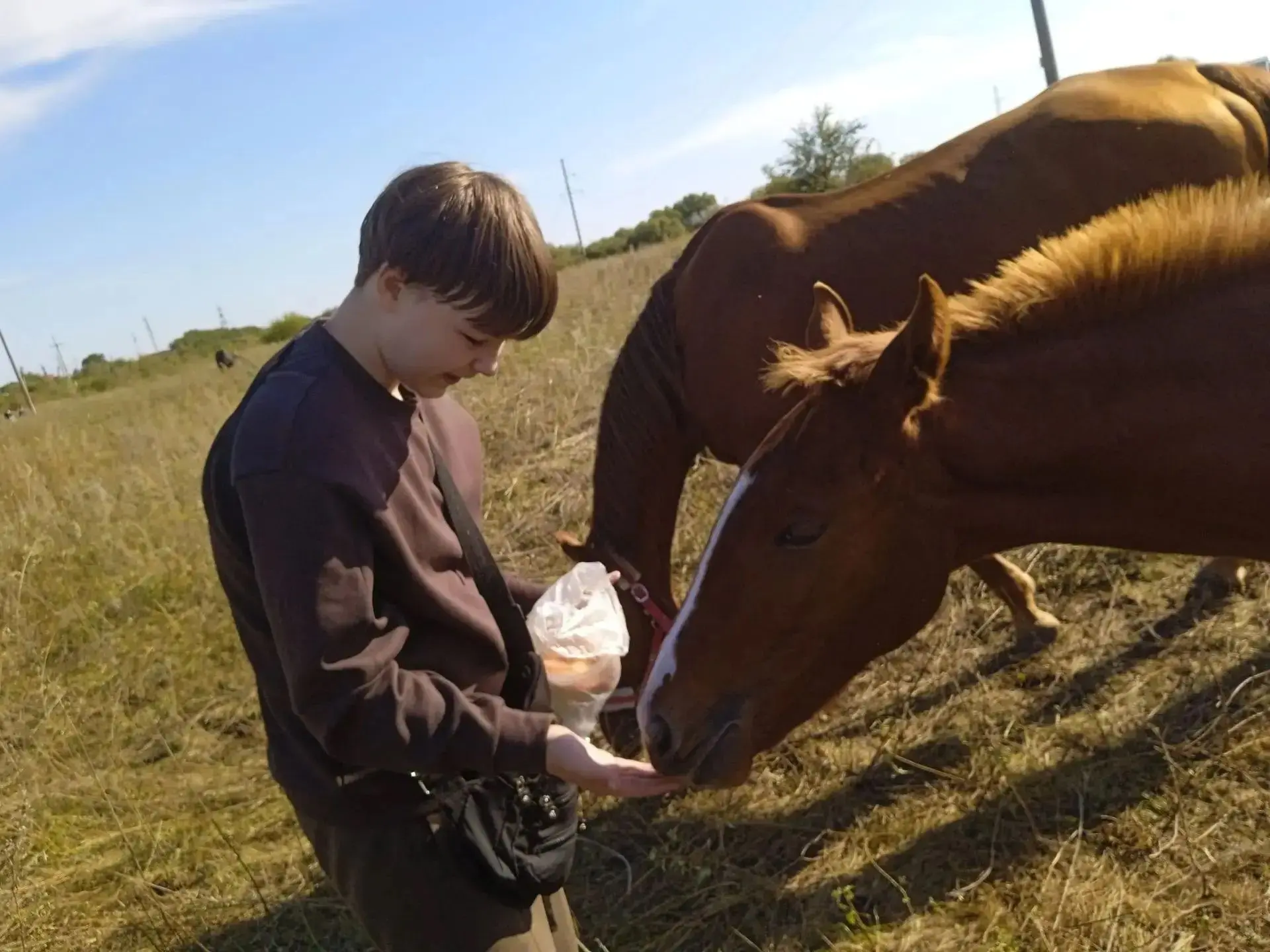 Доброта живёт здесь 🐴❤️