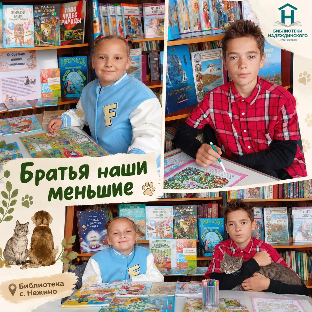 🐾 **Добрые истории о братьях наших меньших!** 🐱🐶