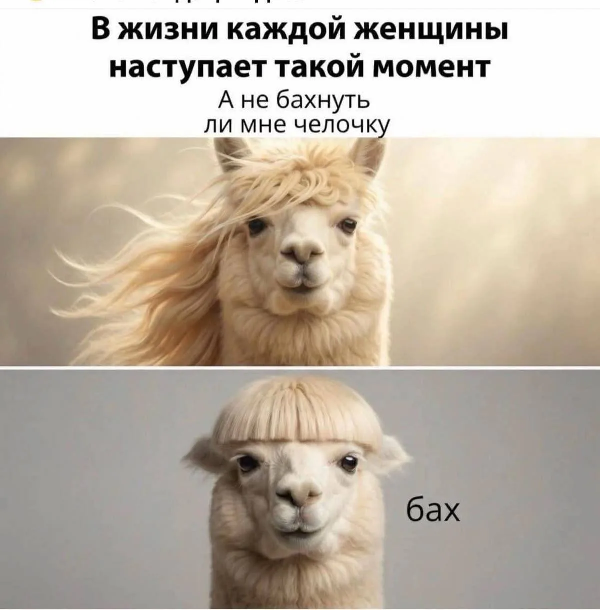 Челка сгубила не одну женщину