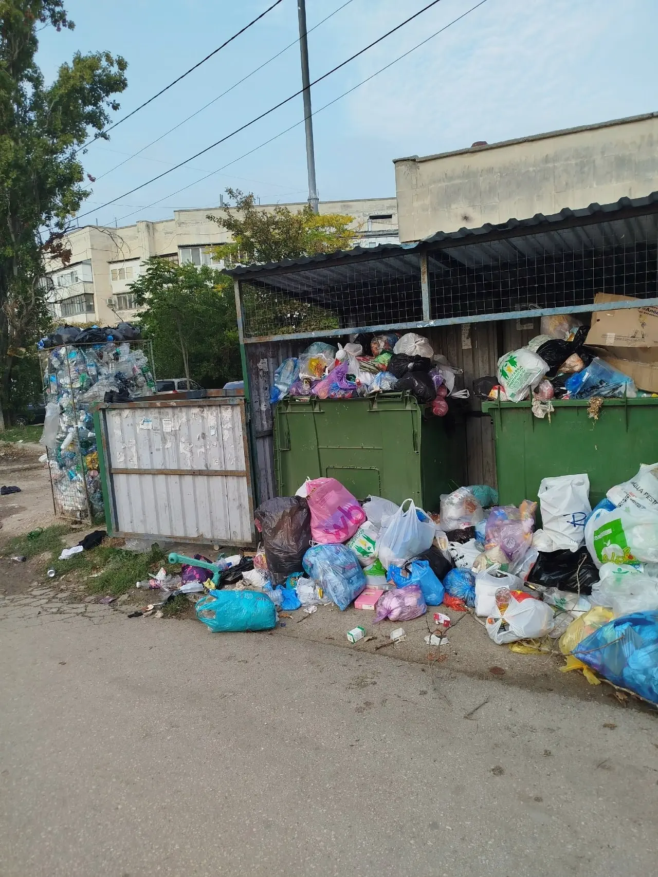 Город массово заполонили жалобы на вывоз мусора. Контейнеры переполнены. Мусор не вывоз...
