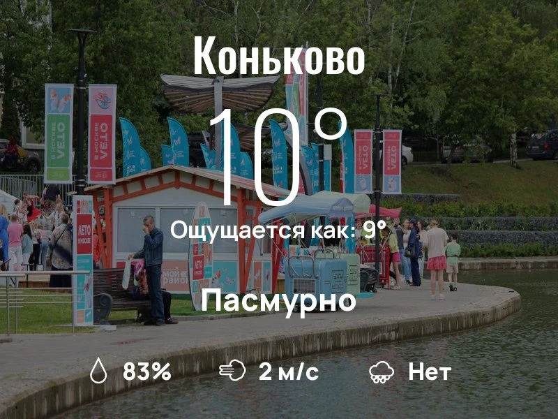 Что с погодой в Коньково?