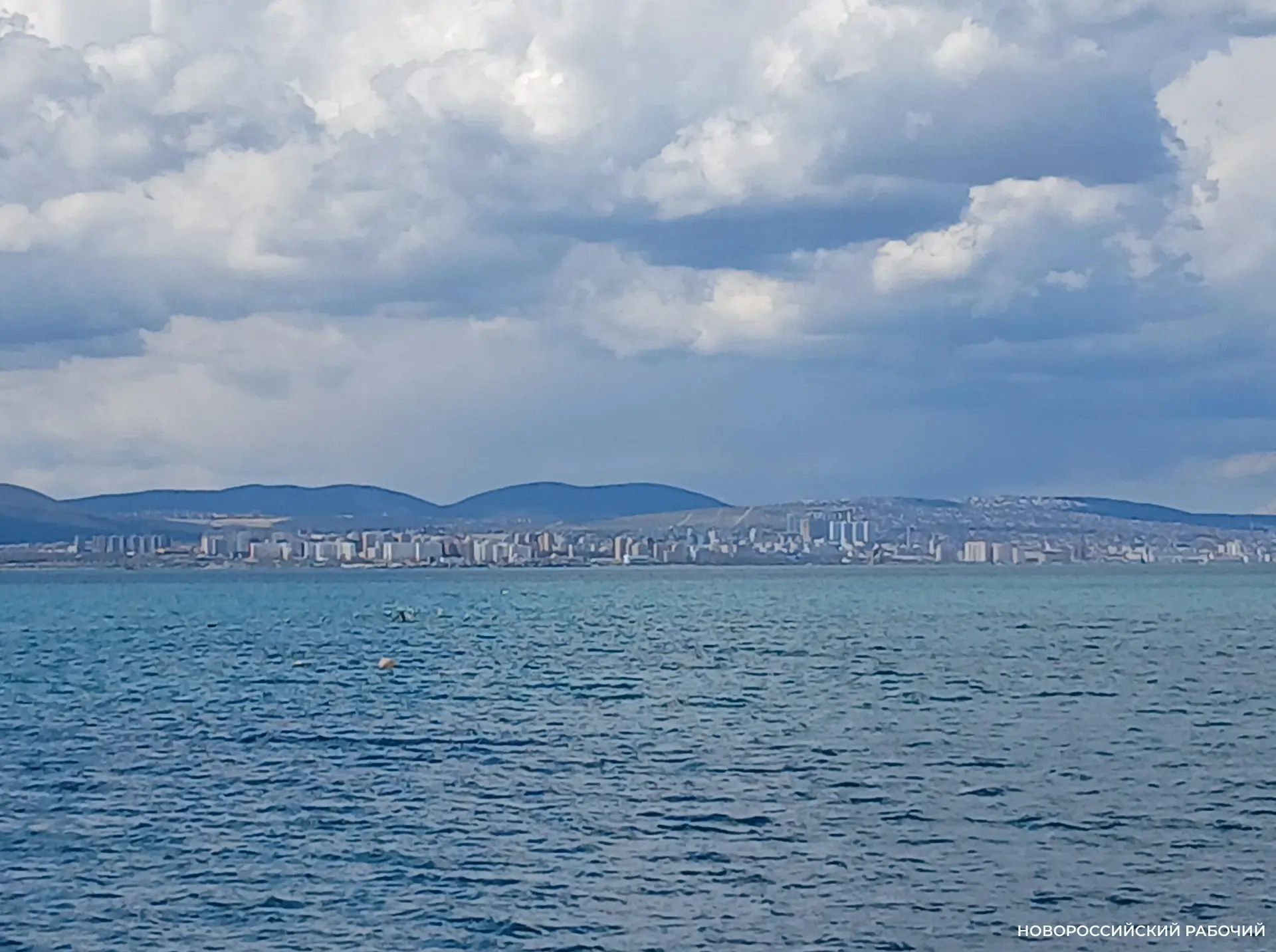 Загрязнение моря между Новороссийском и Архипо-Осиповкой официально не подтверждено