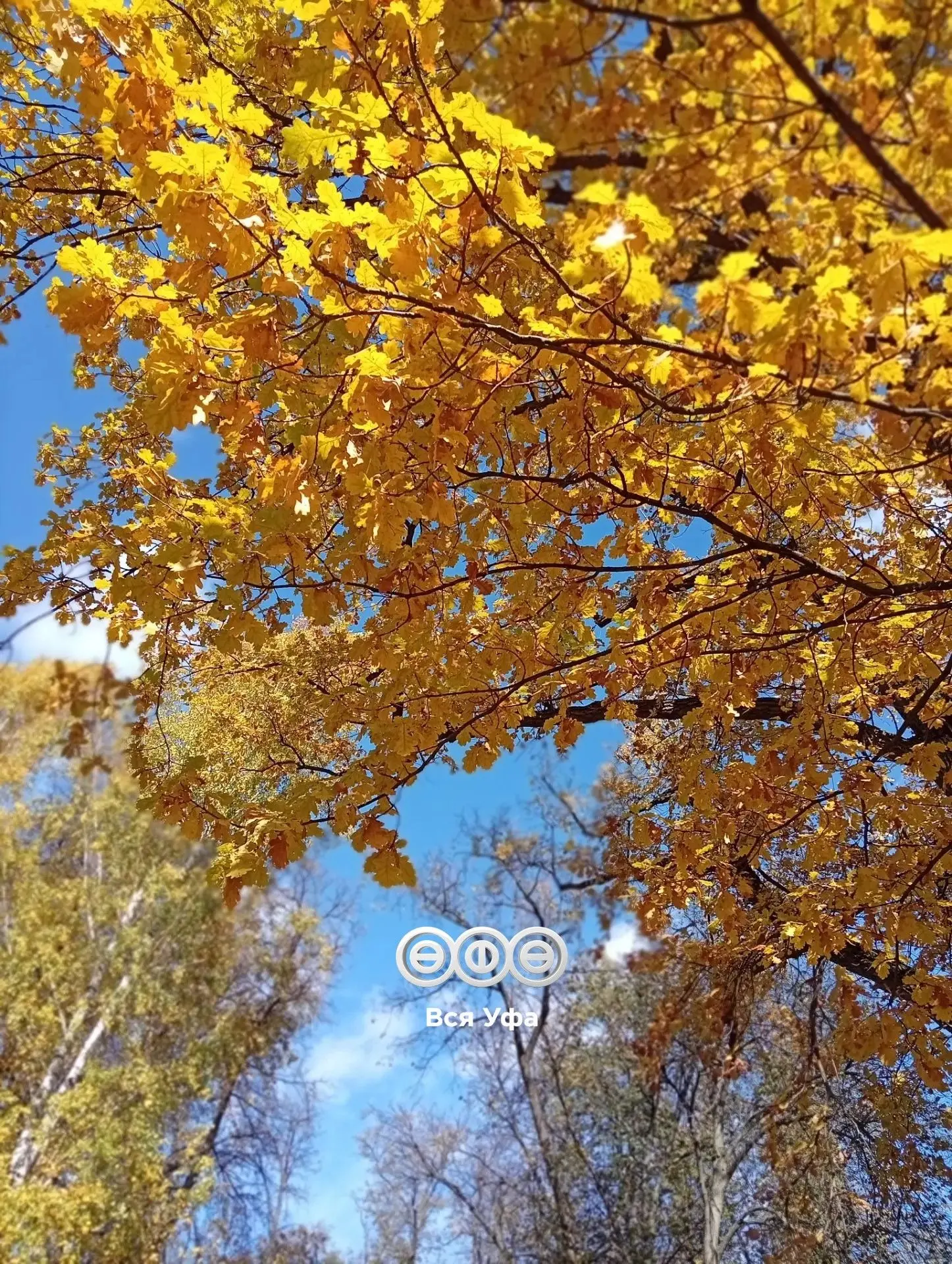 ☀️ Погода в Уфе 13 октября: тепло и без дождя