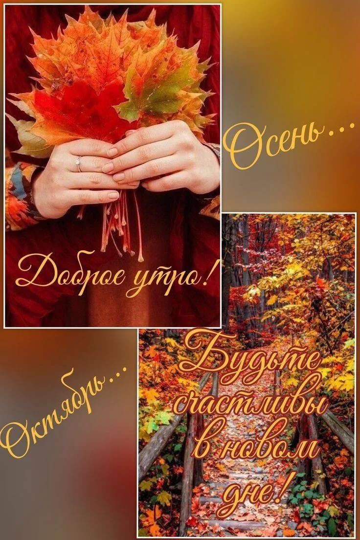 Женские открытки💝