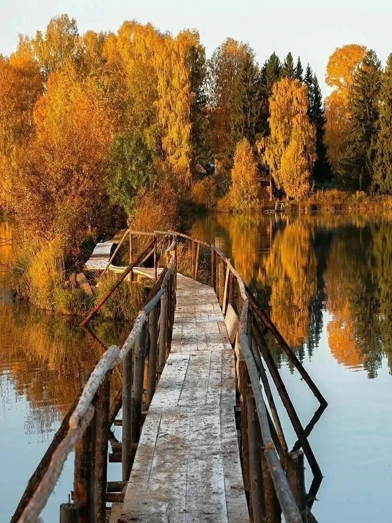 Золотая осень. 🍂💛🍁 Какое фото нравится вам больше 1,2,3...10?