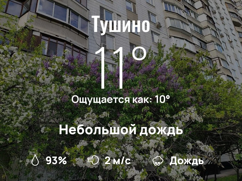 Что с погодой в Тушино?