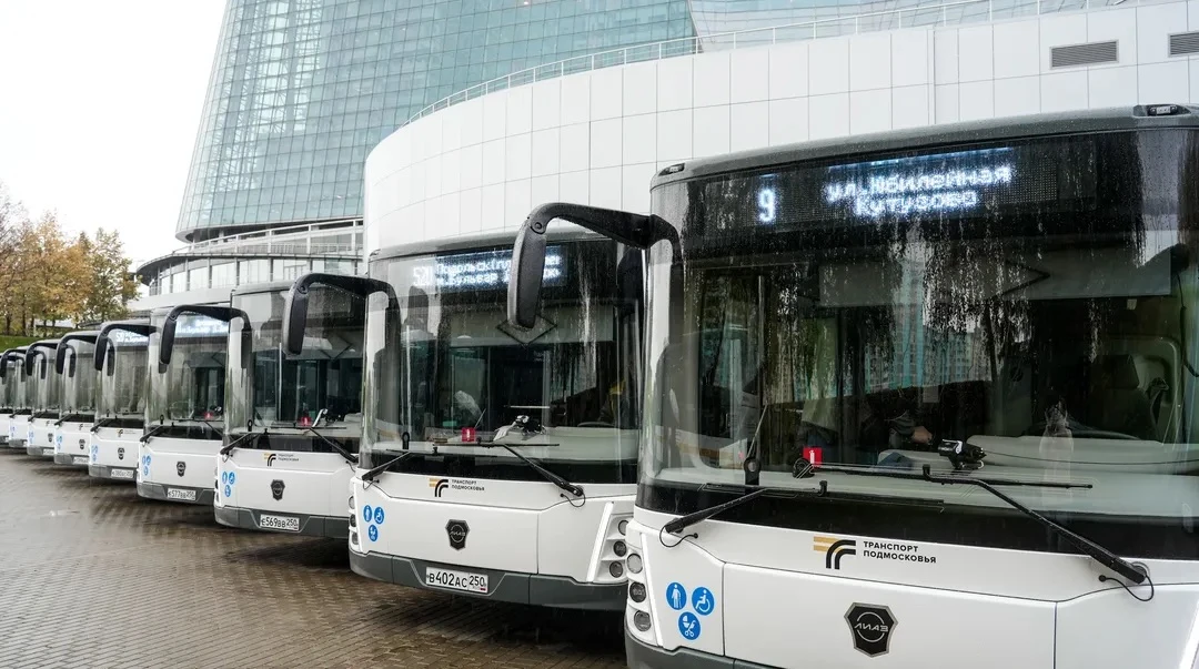 В Подмосковье кошек и птиц можно провозить в автобусах бесплатно