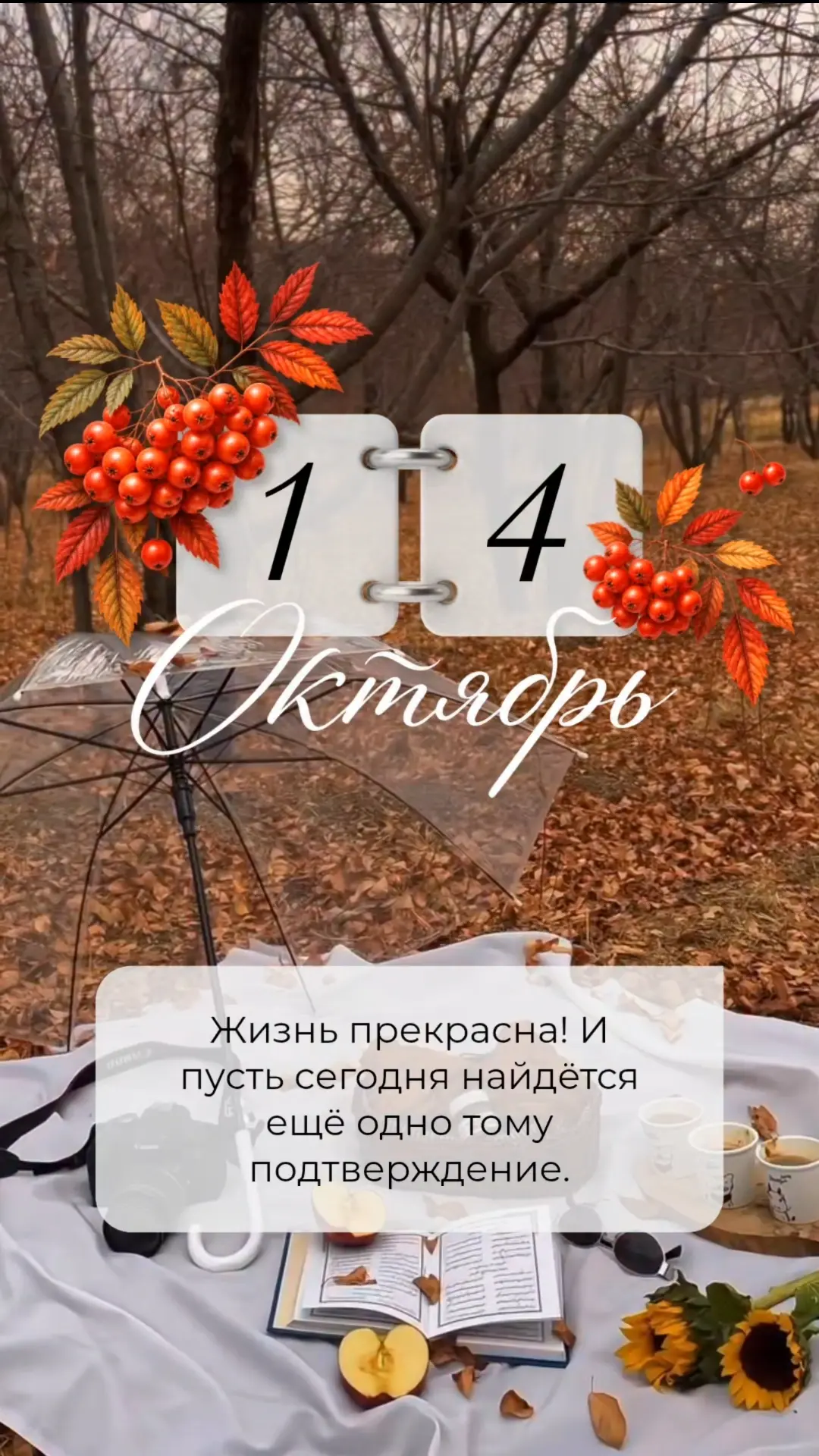 Жизнь прекрасна! И пусть сегодня найдётся ещё одно тому подтверждение.