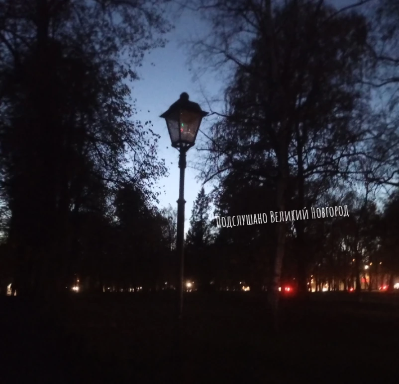 Новгородцы пишут: