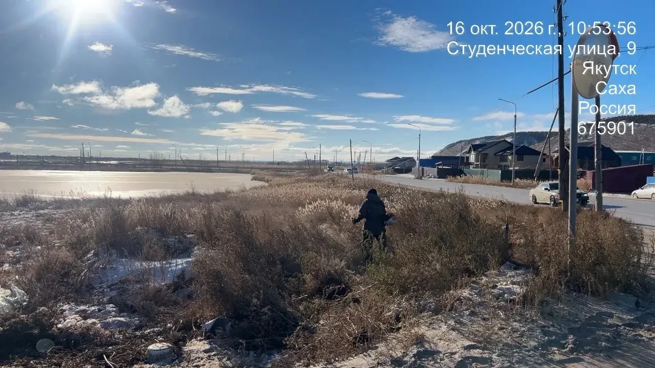 🌾 Сегодня на покос камыша вышли управляющие компании и жители округа. Спасибо всем за ...