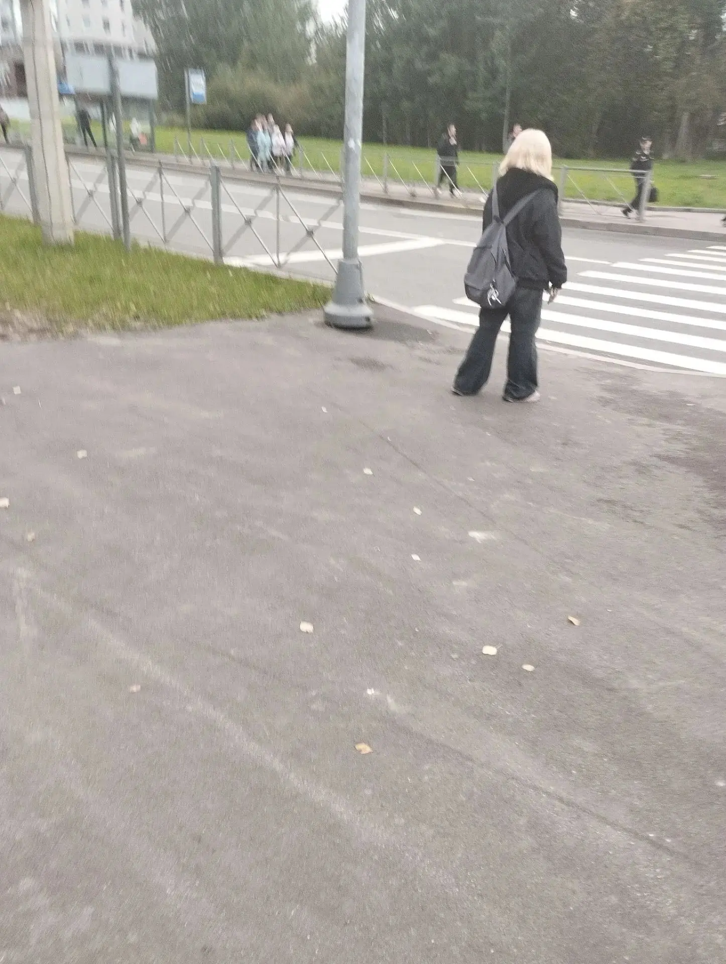 Предложка: