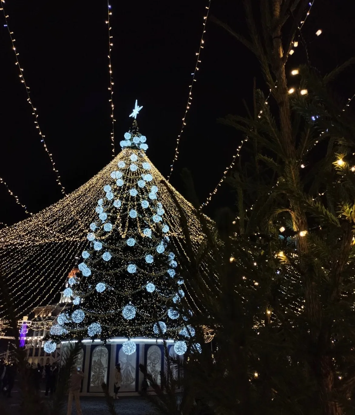Готовь сани летом, а маршрут на Новогодние праздники – осенью!🎄