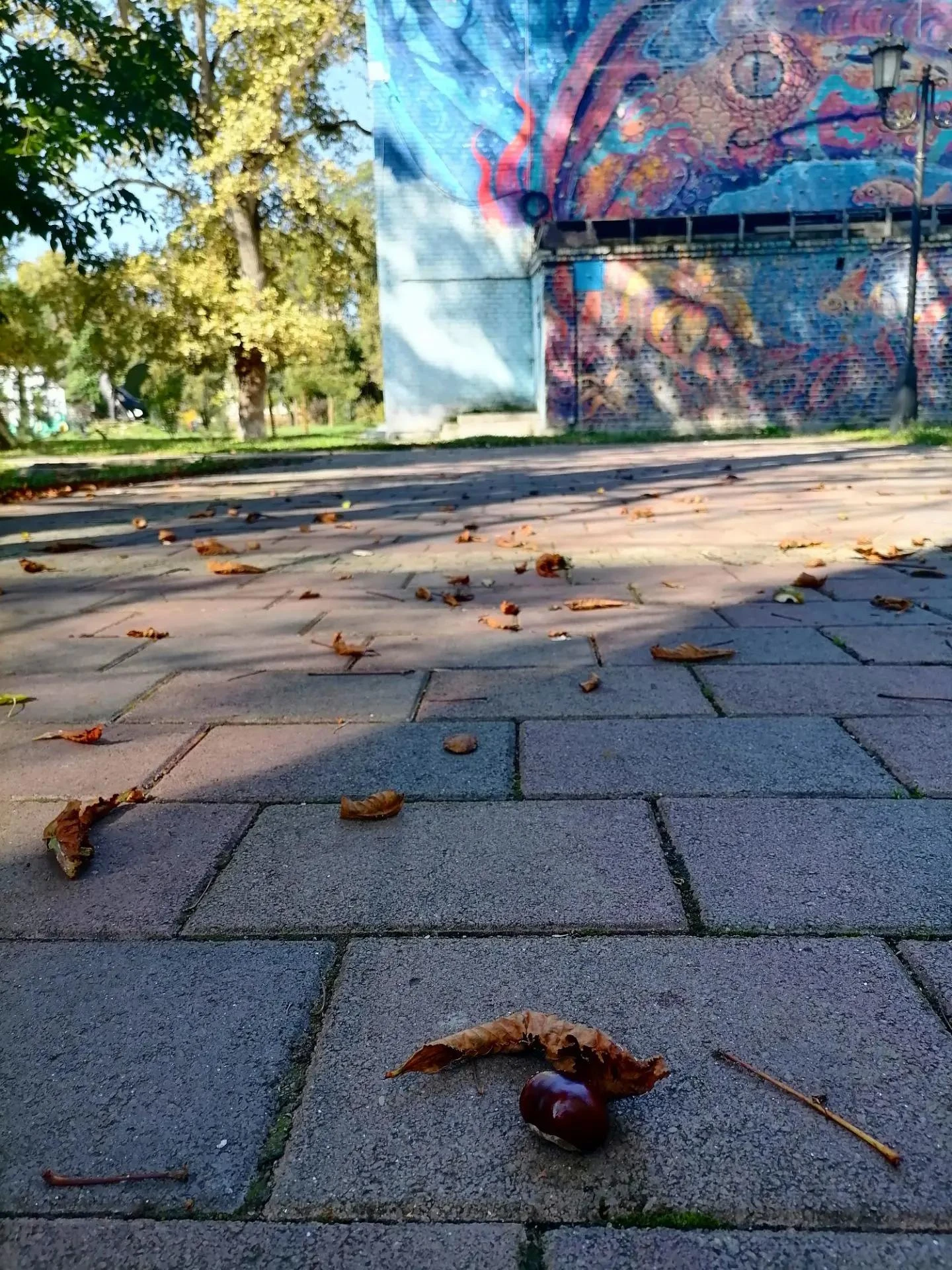 От подписчика: