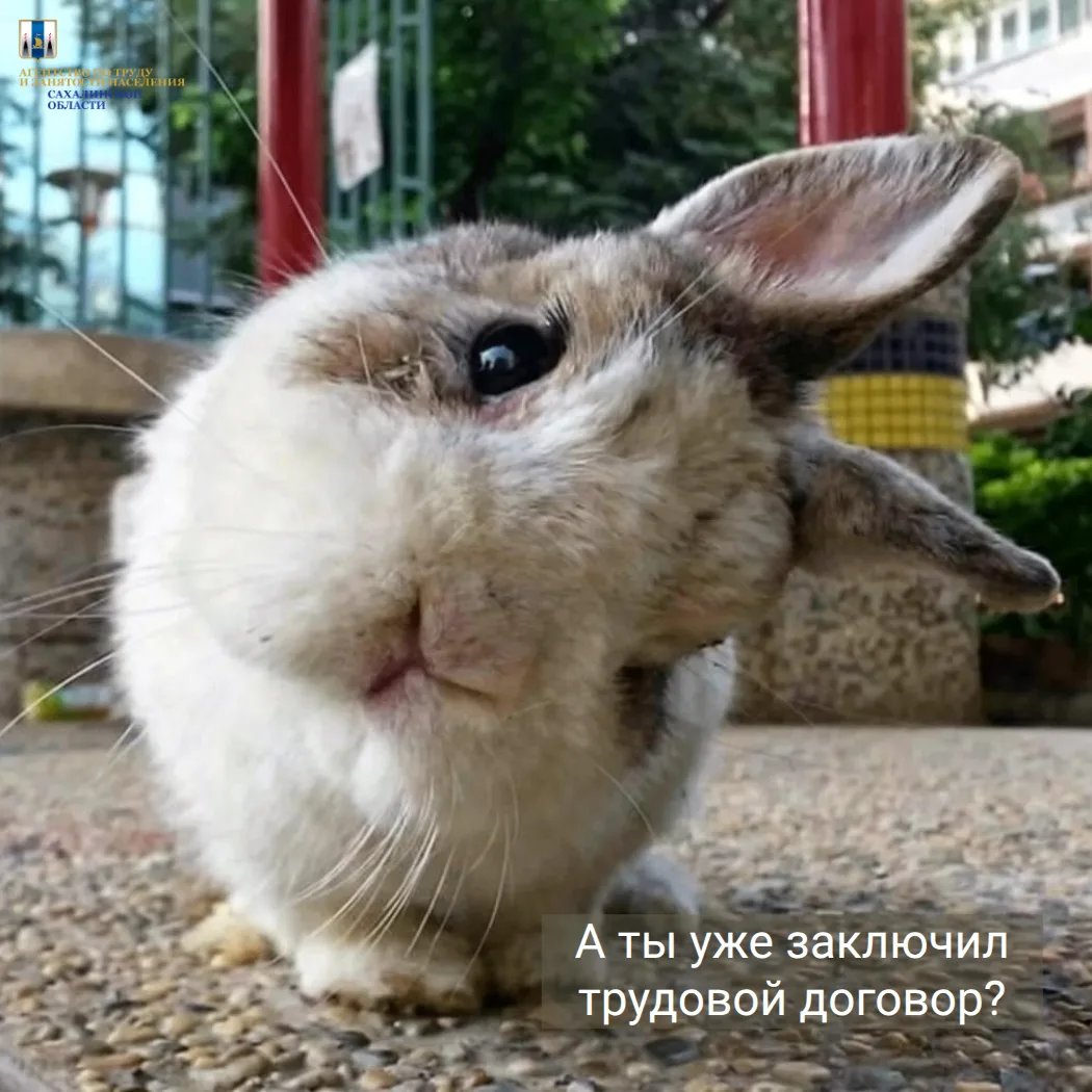 Просто хотим сказать, что трудовой договор – это гарантия, что ваши трудовые права буду...