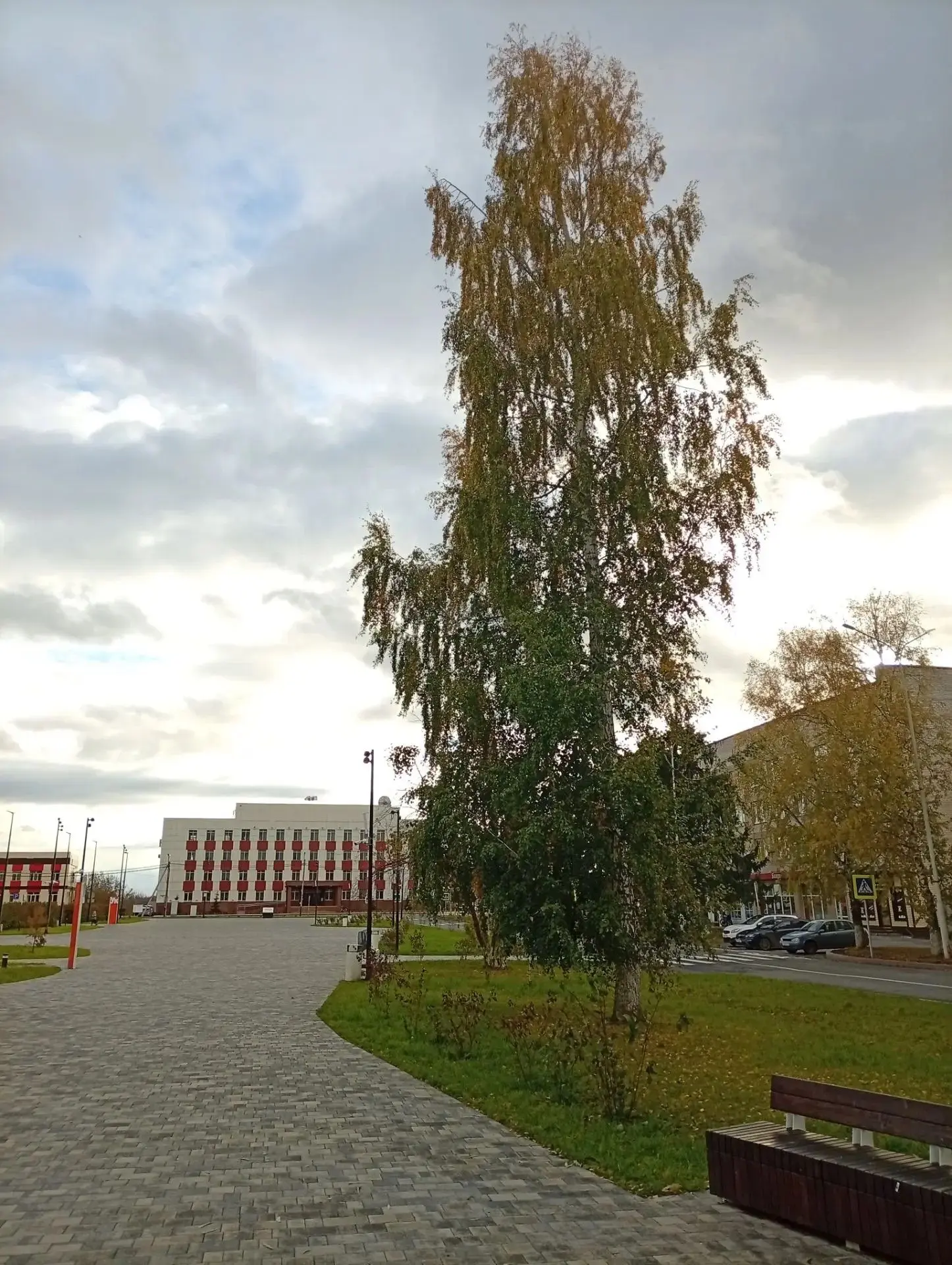 Агрономы призвали жителей Тюменской области побелить плодовые деревья в октябре