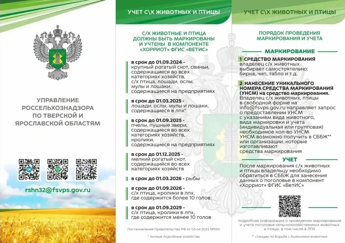🐮 Маркировка и учёт животных: важные правила для владельцев.