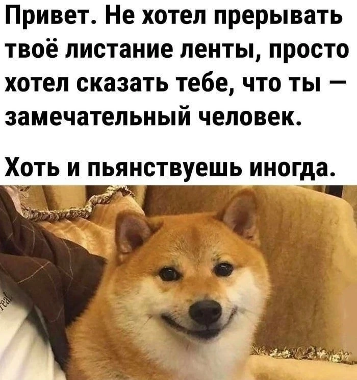 Что тут было годного, но вы могли пропустить, потому что наслаждались жизнью в формате ...