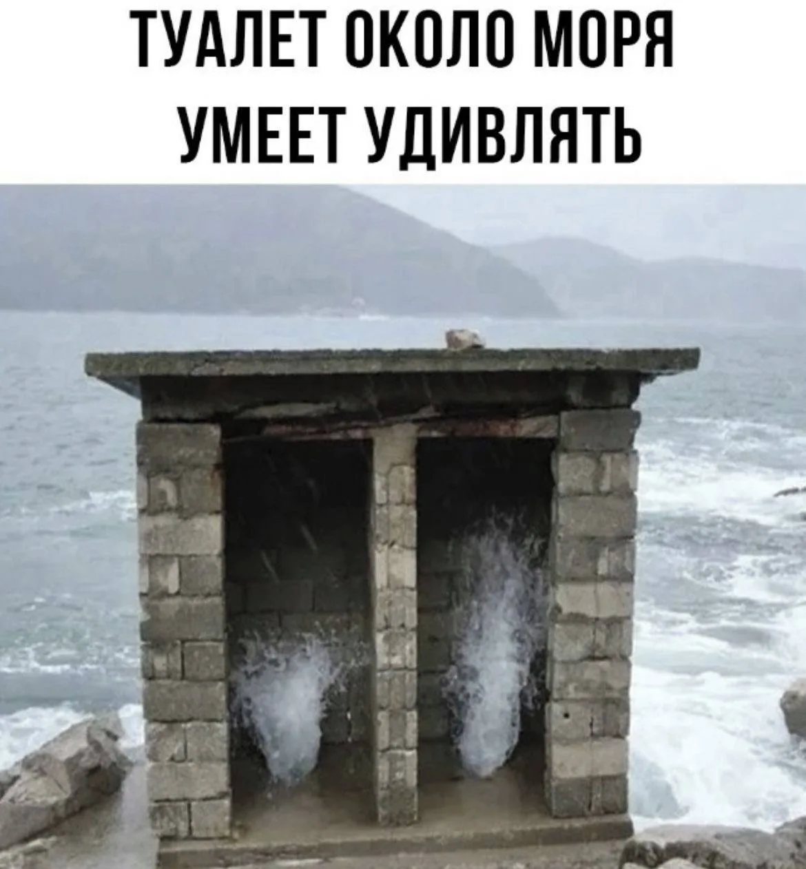 😆😆😆😆
