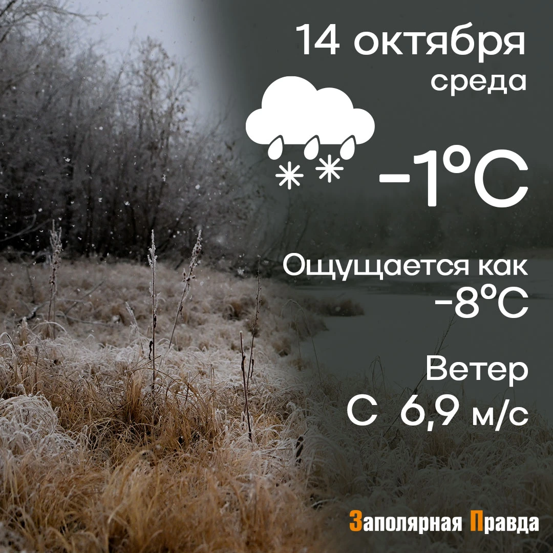 Прогноз погоды