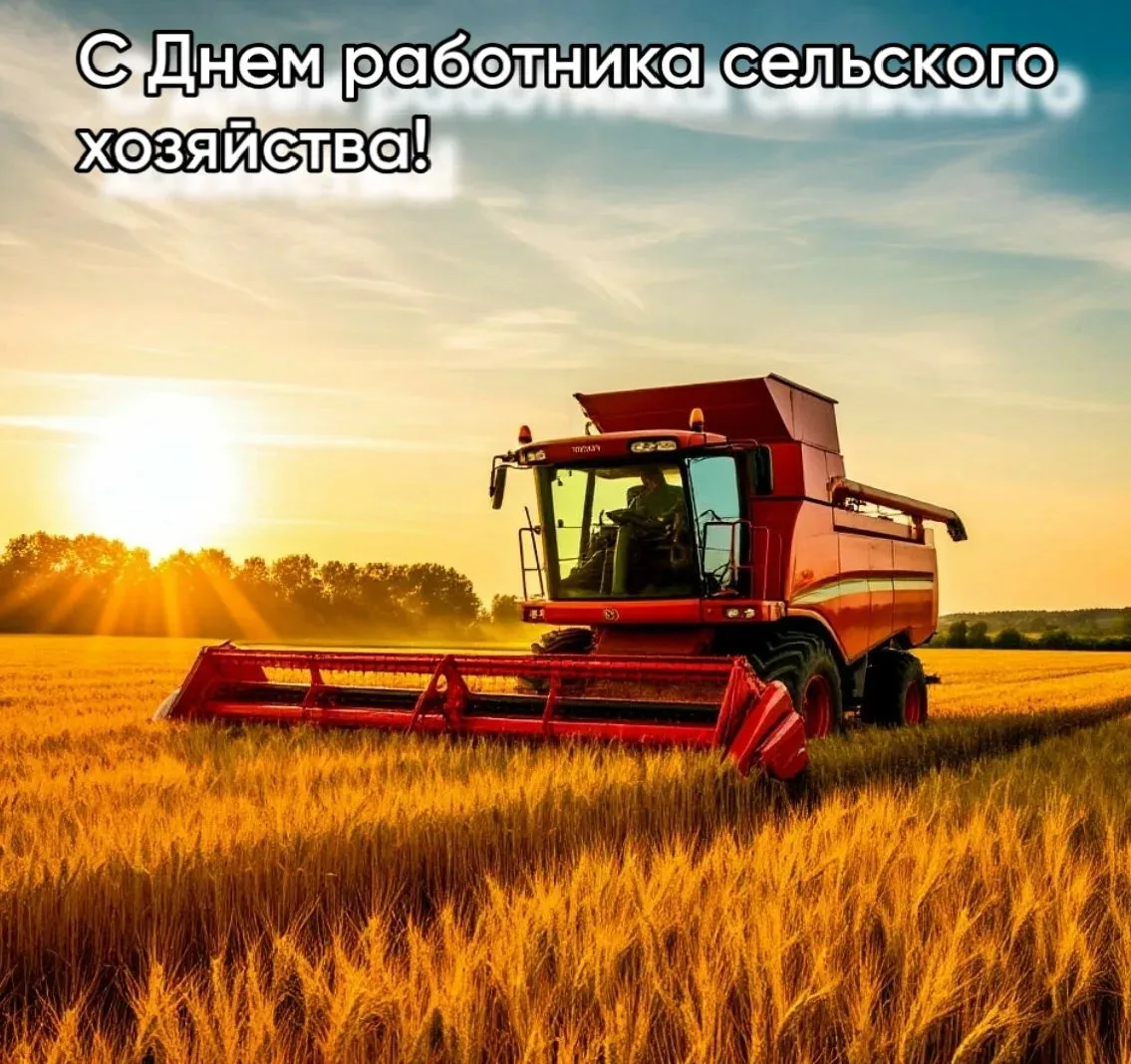 Дорогие друзья! Уважаемые труженики села!