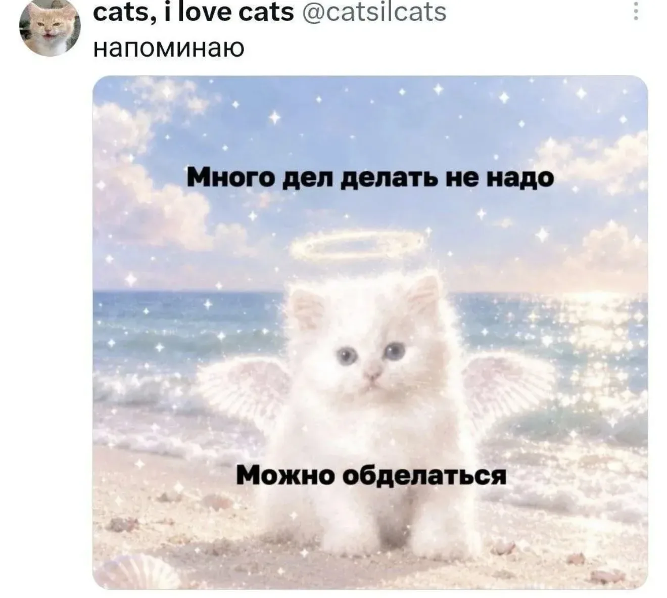 Да-да, все так, как на картинке😌