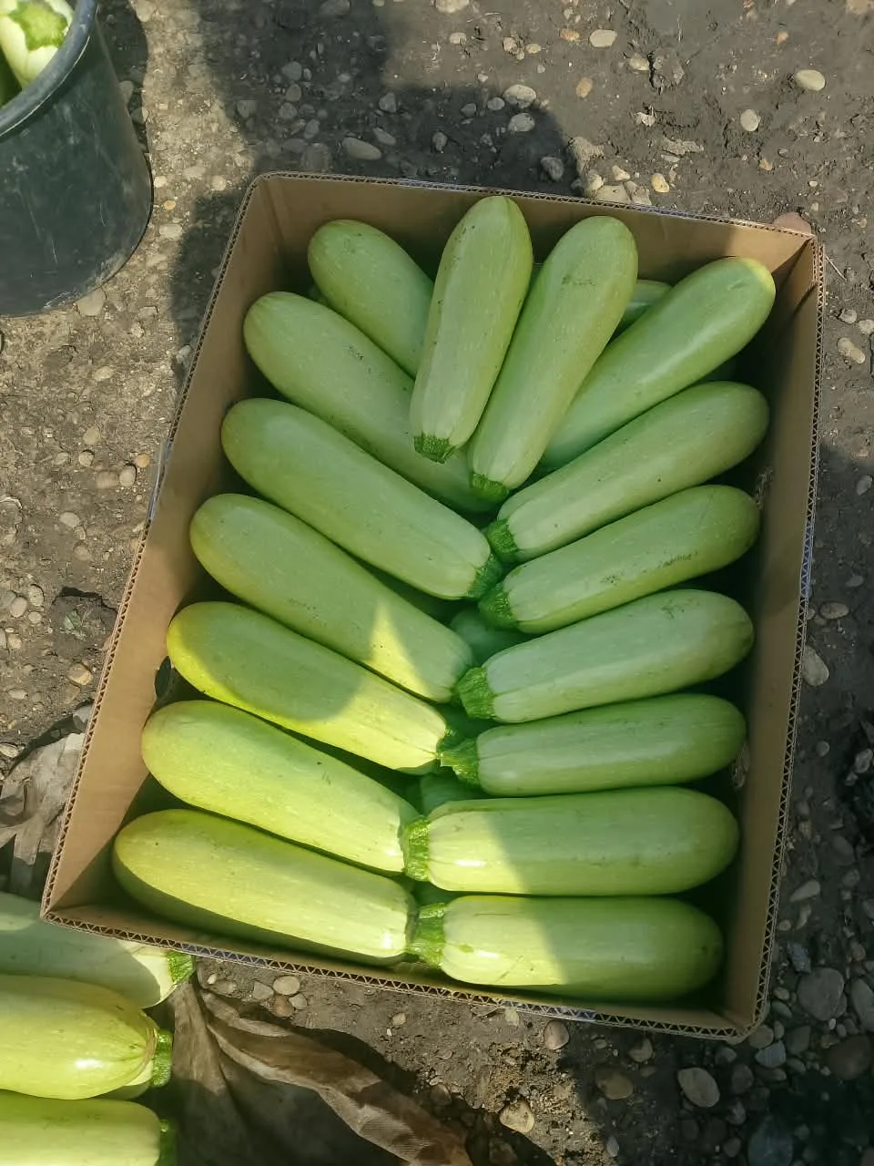 Продаю, 89182894088
