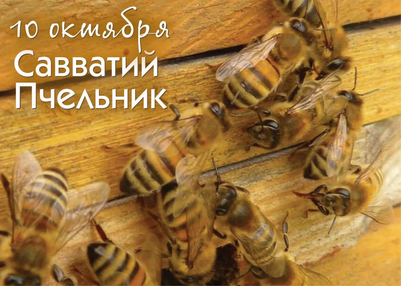 Народный календарь