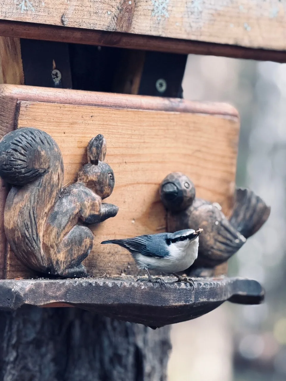 Вечерний Чат 🕊
