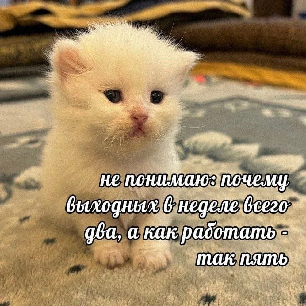 Ставь лайк! ❤️