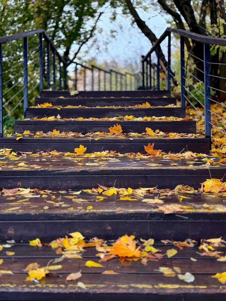 🍁 Сходненский ковш
