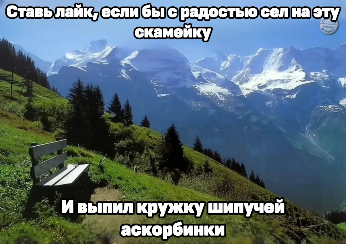Цитрамон. Подписаться