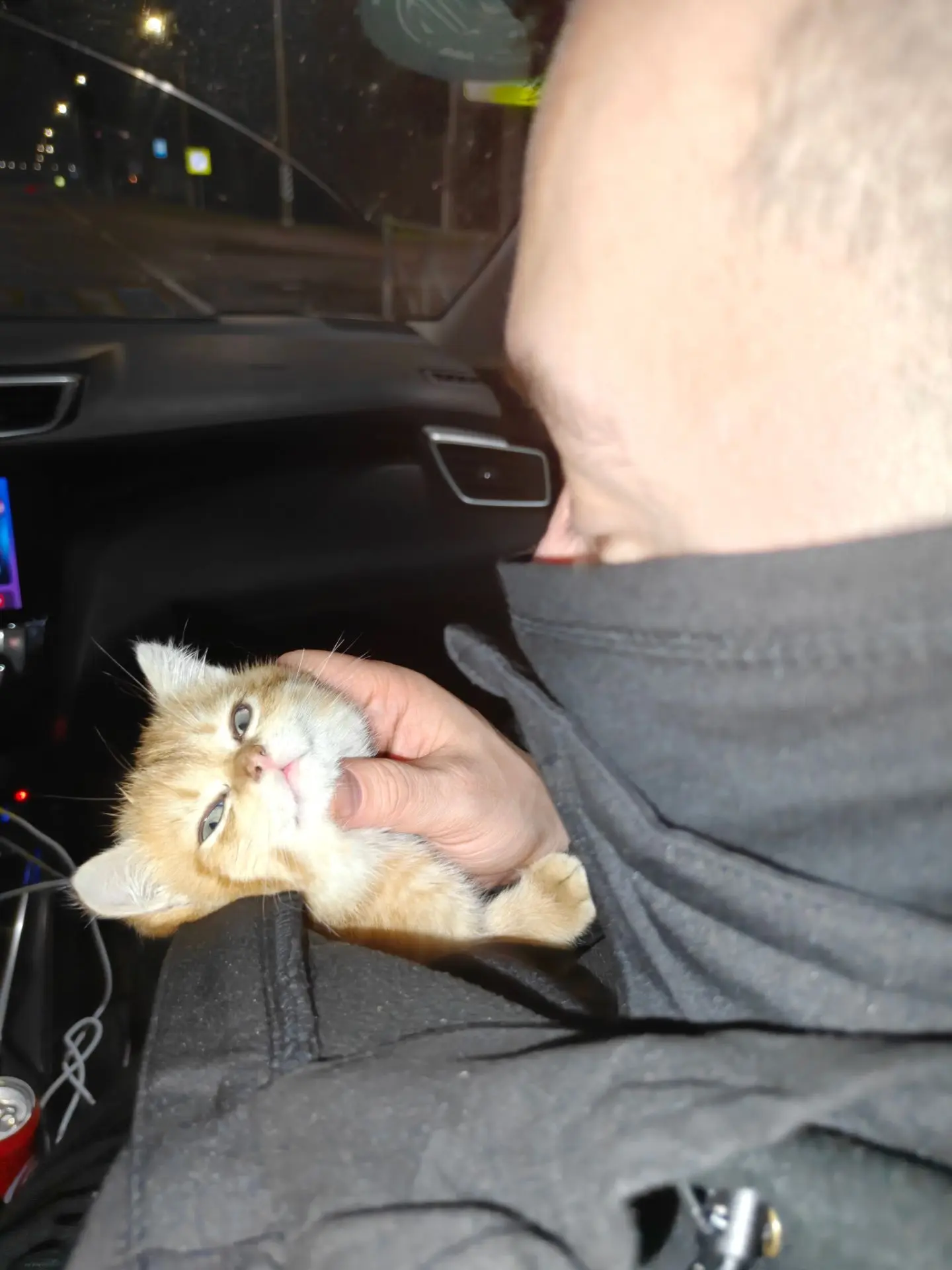 🐈‍⬛ Решил я, значит, что пора проведать своего Кожаного. Сам, конечно, не поехал. Отпр...