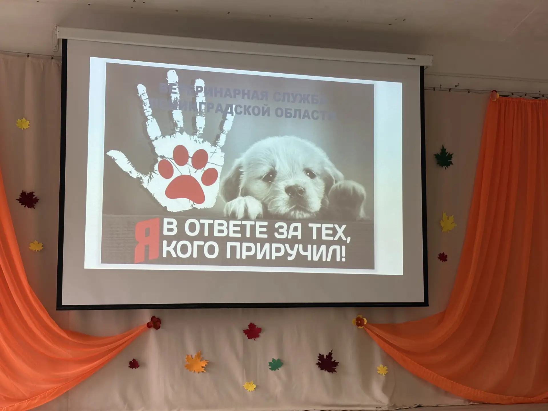 🎉 Внимание, ребята и родители! 🎉