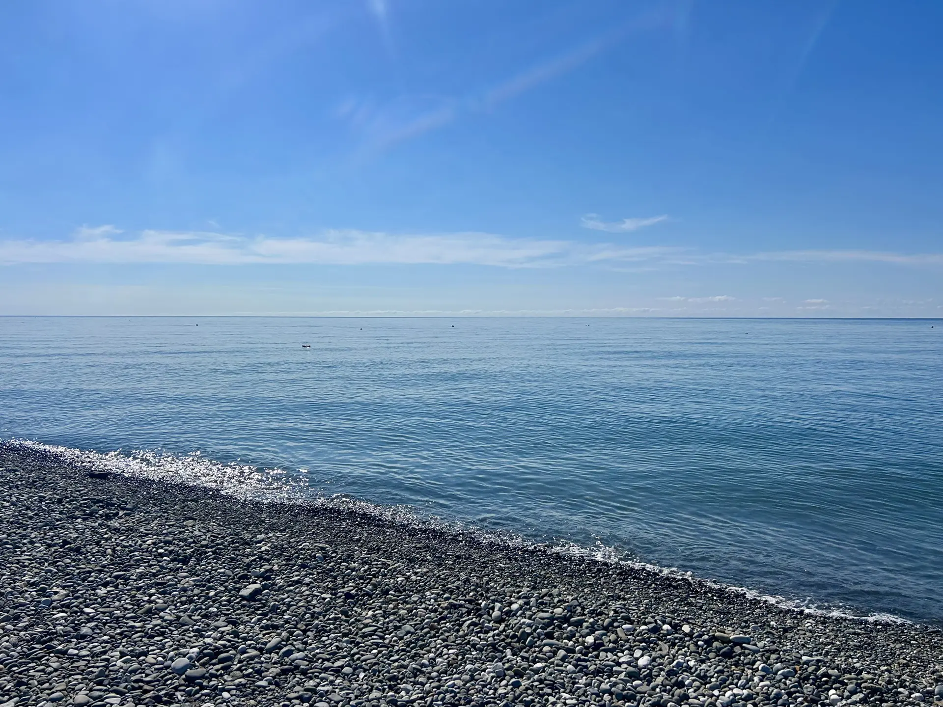 ☀️ Доброе утро, Сириус!