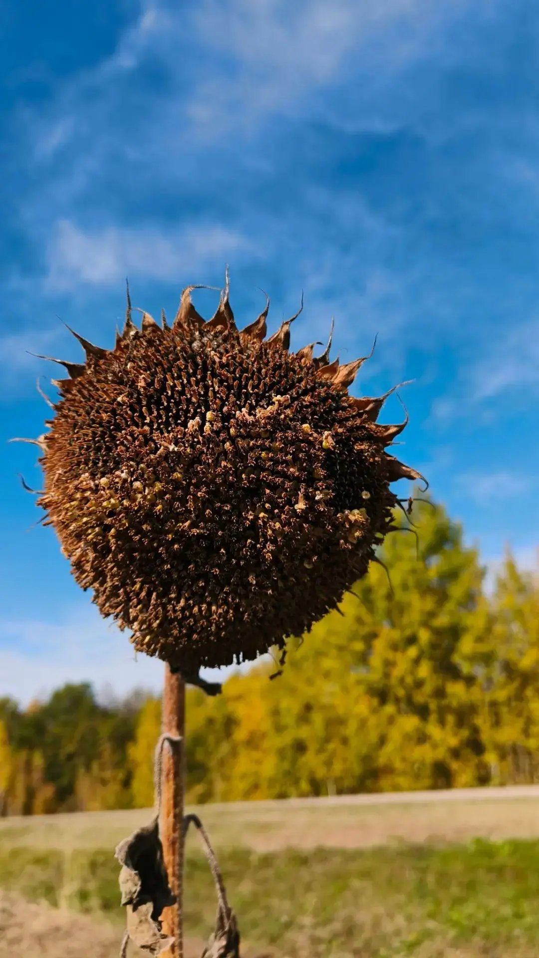 Доброе утро, верхнеуслонцы🌞🍂🍁
