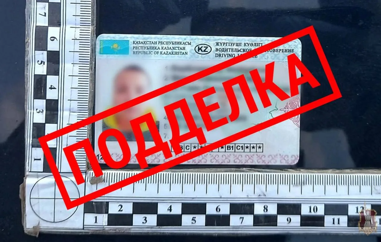 Жительнице Камышина грозит год колонии за поддельные водительские права