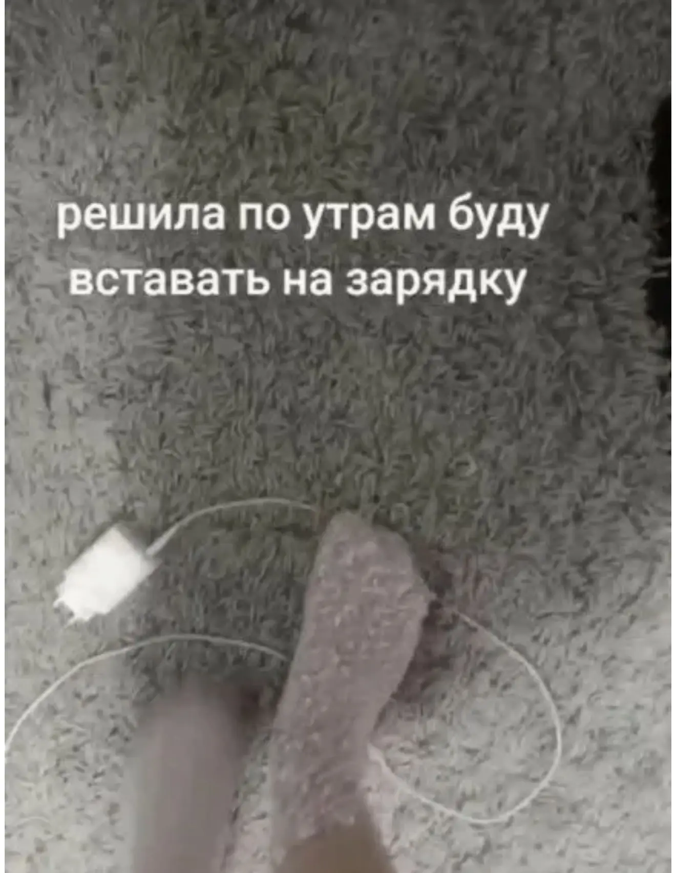 Вы как? Встали на зарядку?