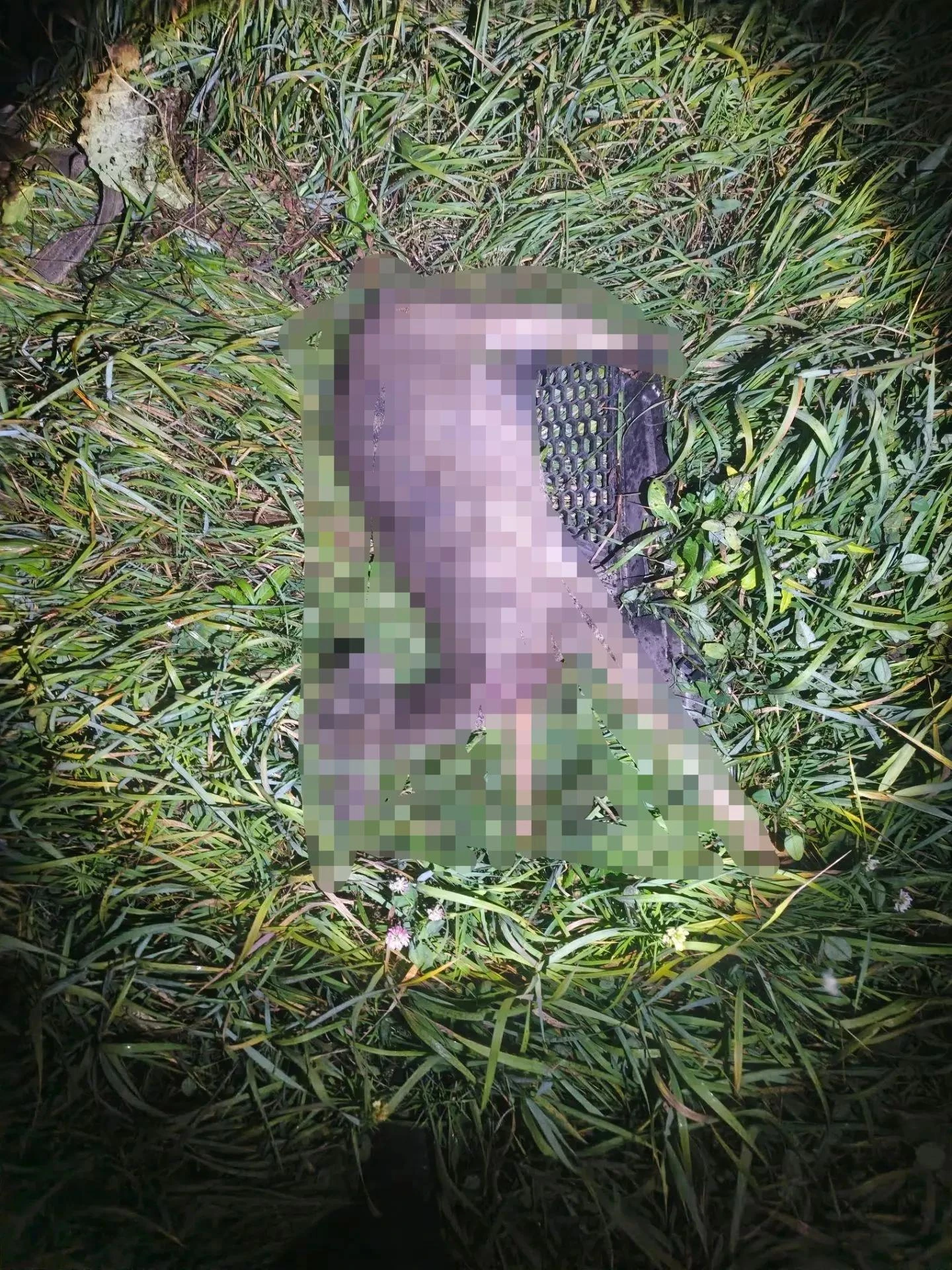 🦌 В Каратузском округе госавтоинспекторы задержали мужчину по подозрению в незаконной ...