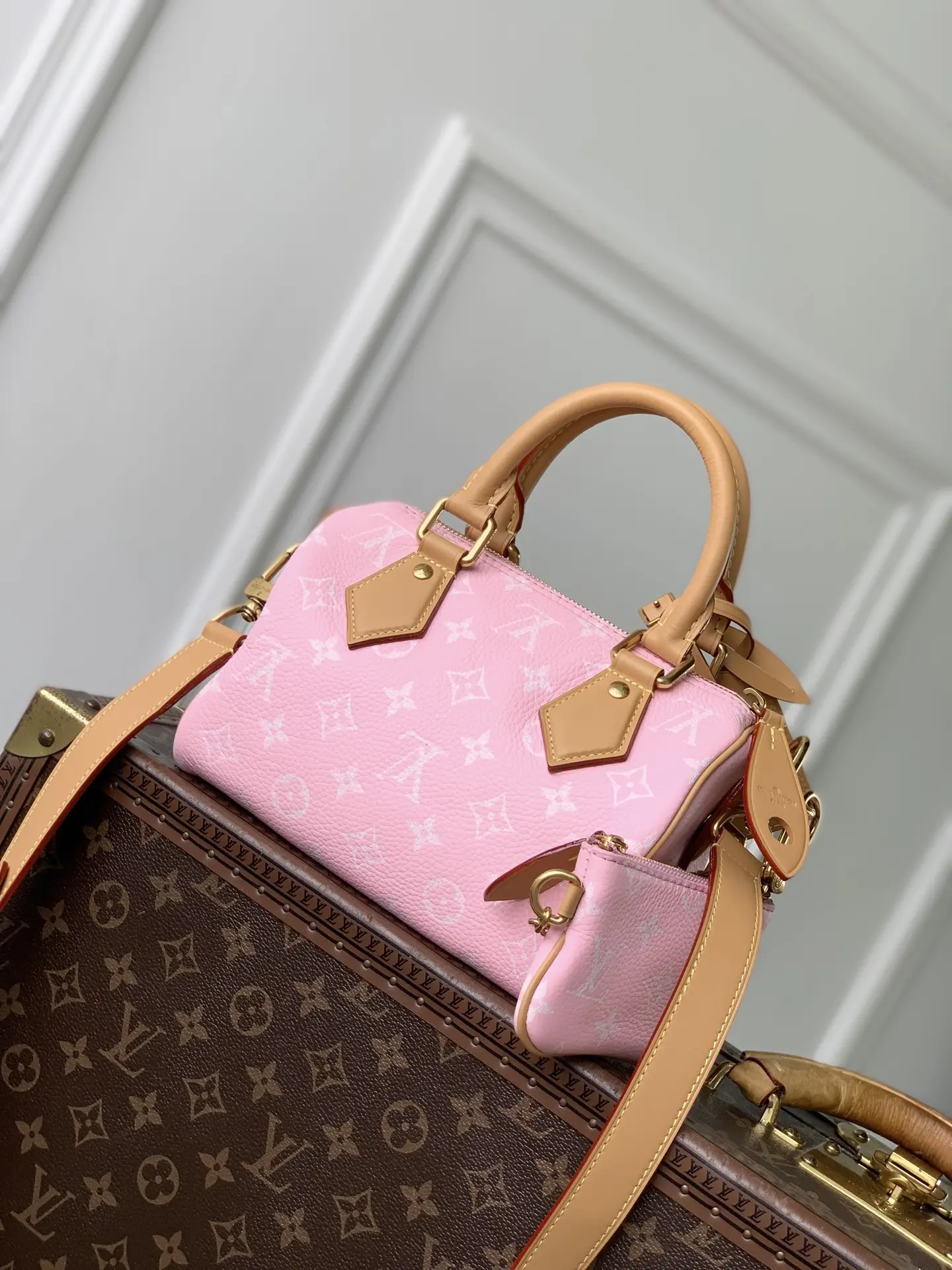 Сумка Louis Vuitton
