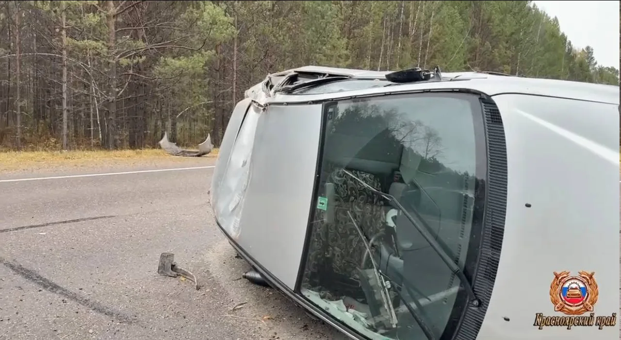 Водитель «Тойоты» врезался в дерево и скончался на трассе Красноярск — Енисейск.