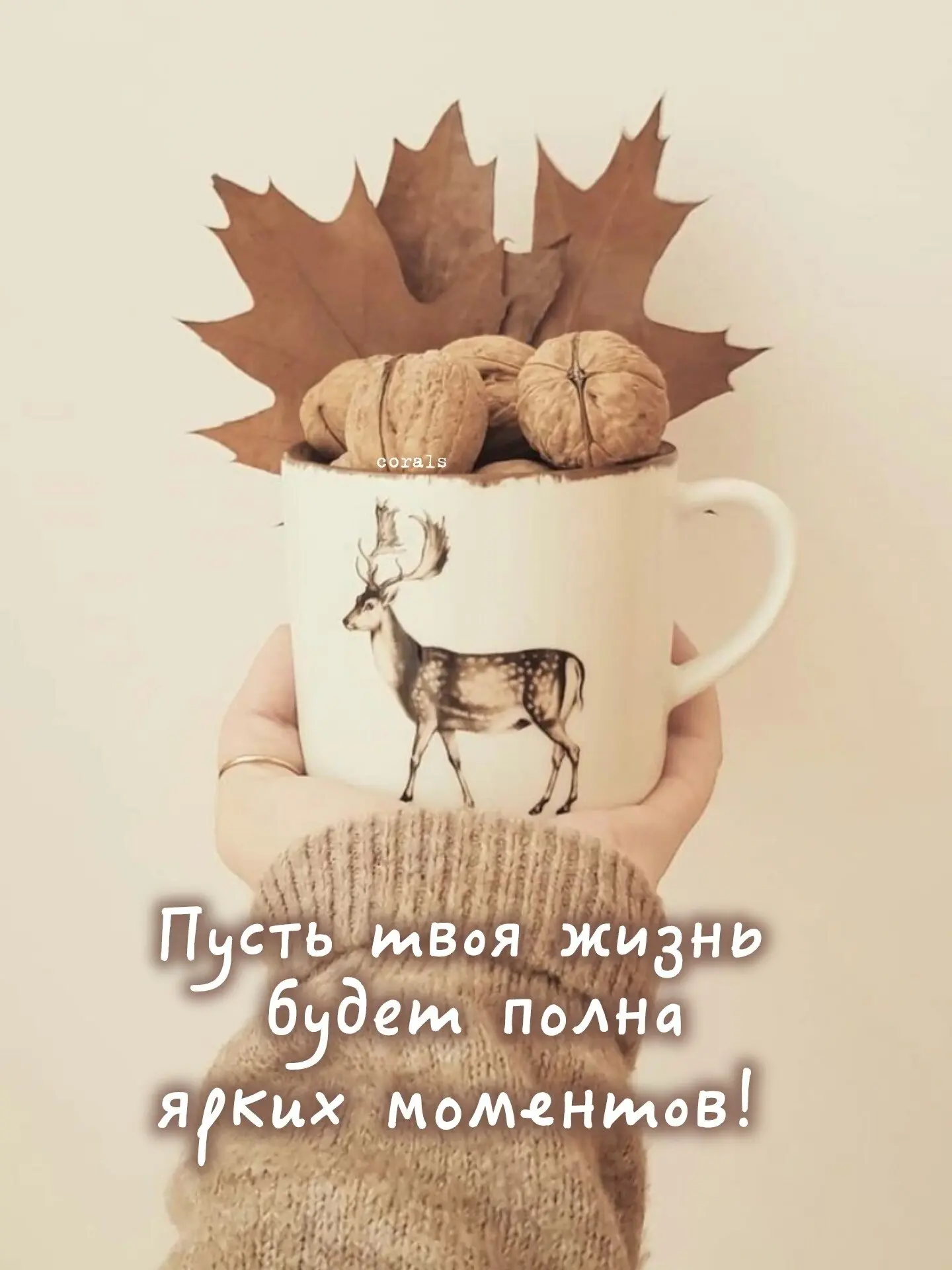 🇷🇺  Мы в МАХ : https://max.ru/dusha_angela_new