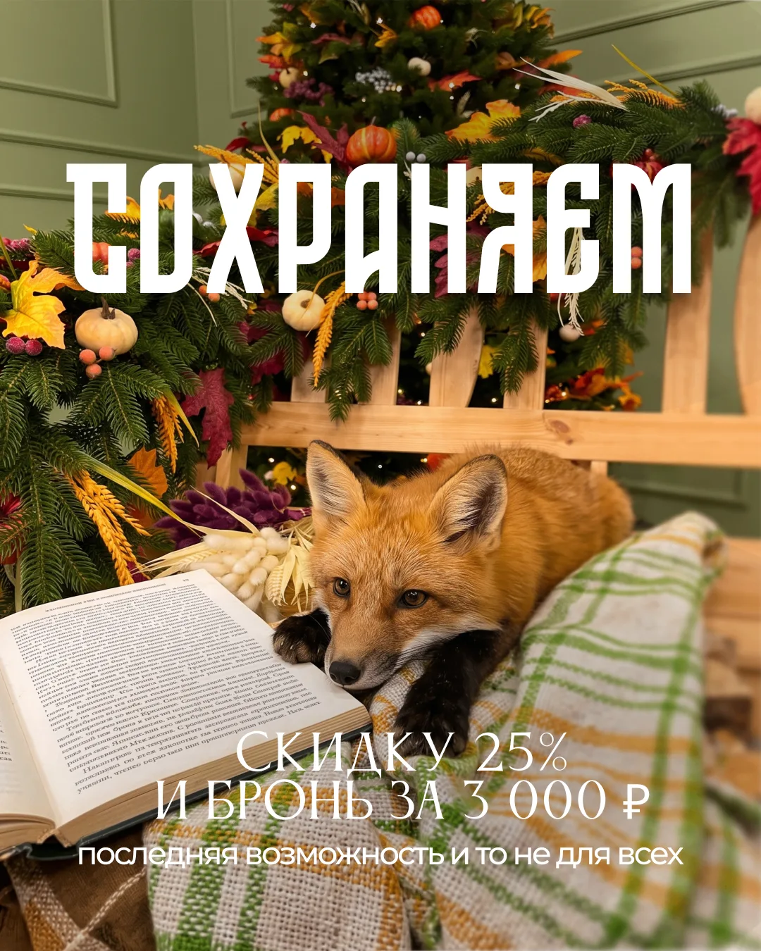 Здравствуйте, дорогие. Сразу скажем прямо, почему написали «не для всех».