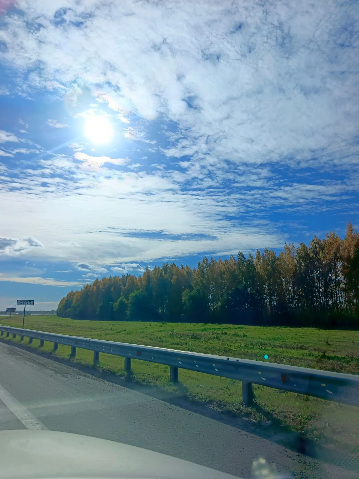 Нет, ну какова красота 😍😍😍
