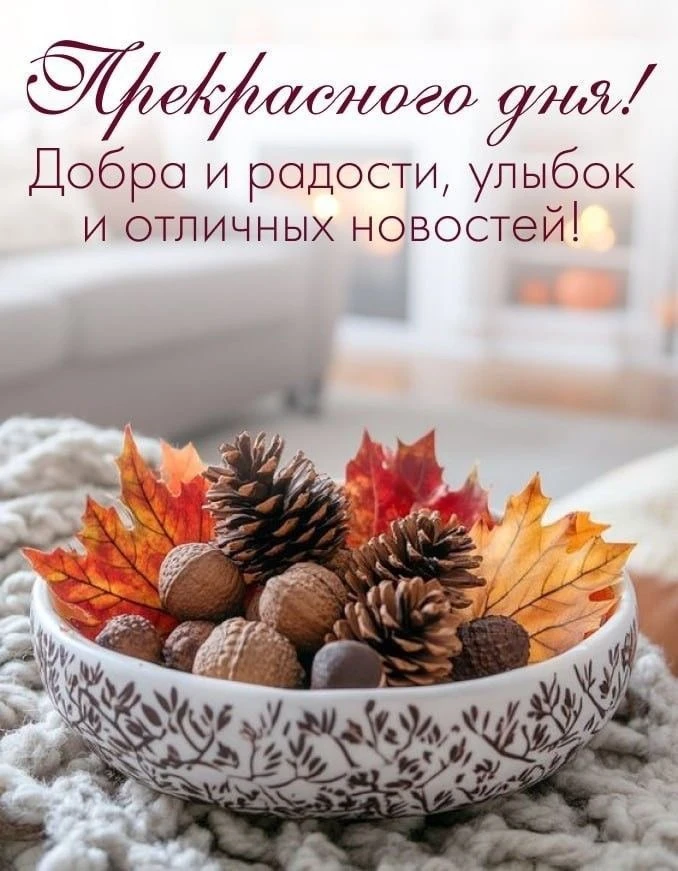 #хорошегодня
