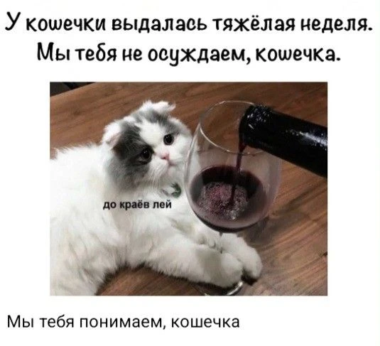С пятницей, дорогие! ☕