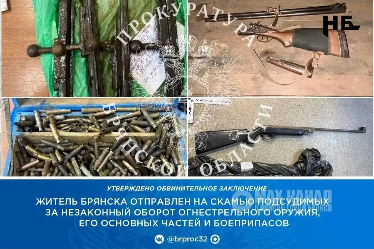 😱 Целый арсенал обнаружили у жителя Брянска