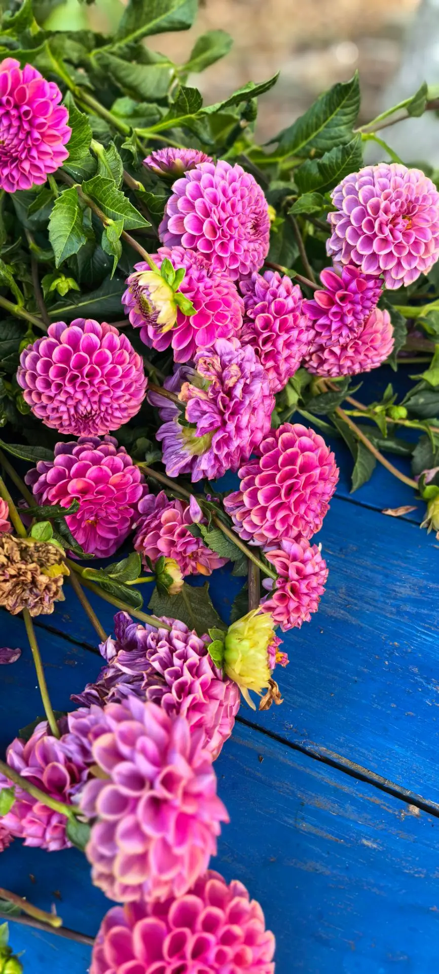 Добрый вечер, мои дорогие девочки и мальчики!🥰