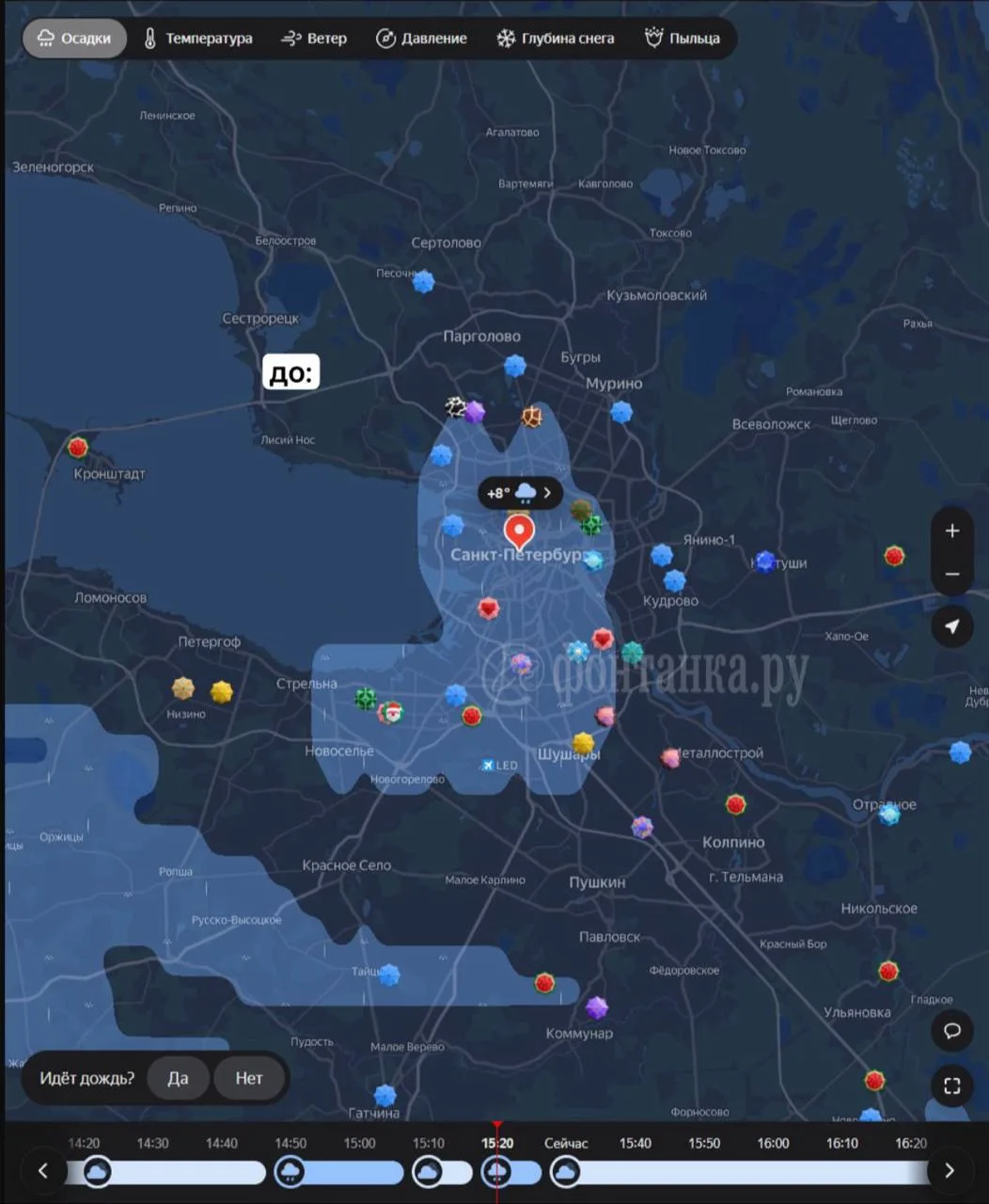 Дождевой кот пришел в Питер