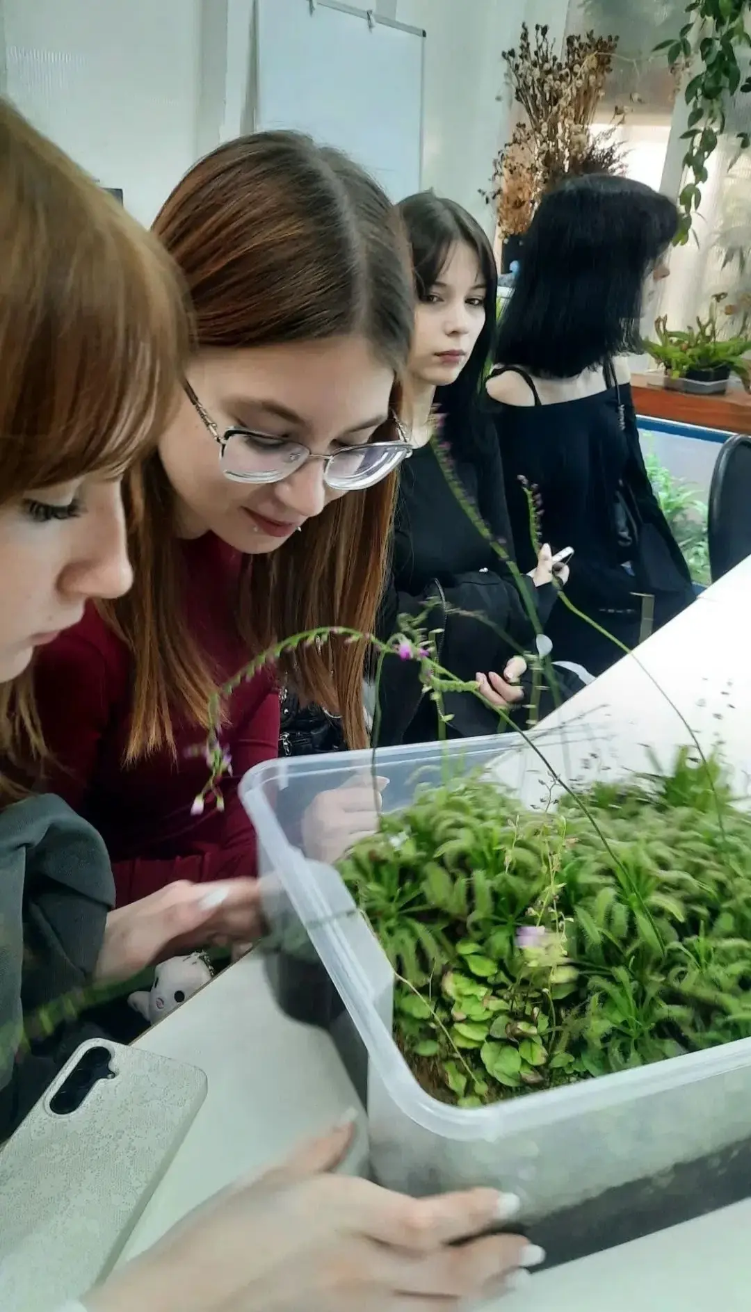 🌿Отзыв наших коллег🌿